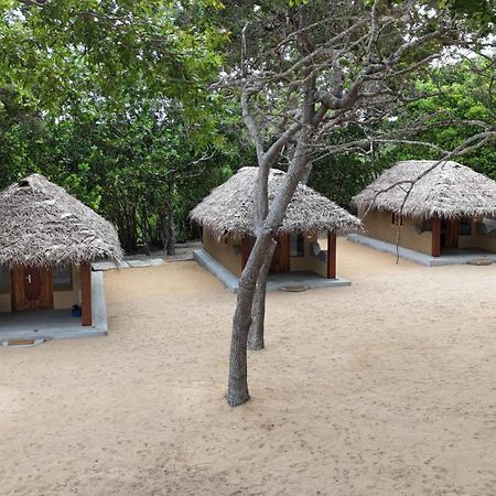 Peanut Farm Surf And Wild Resort - Arugambay Arugam Bay Zewnętrze zdjęcie