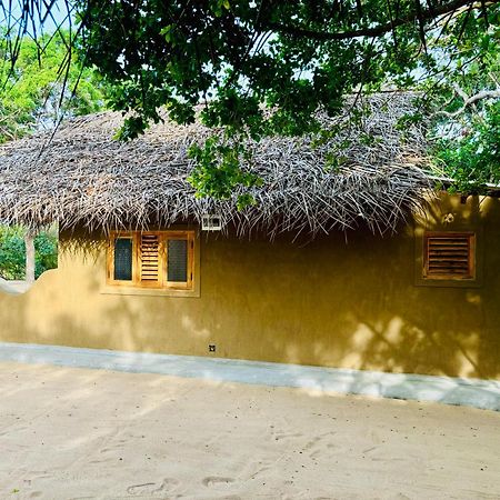 Peanut Farm Surf And Wild Resort - Arugambay Arugam Bay Zewnętrze zdjęcie
