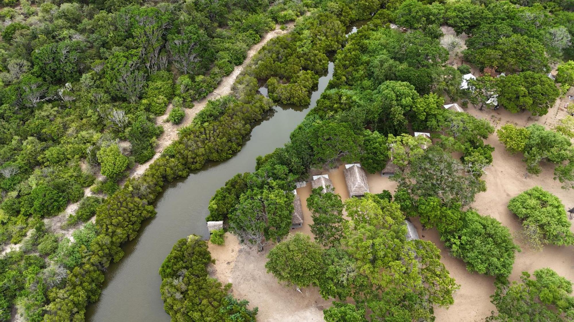 Peanut Farm Surf And Wild Resort - Arugambay Arugam Bay Zewnętrze zdjęcie