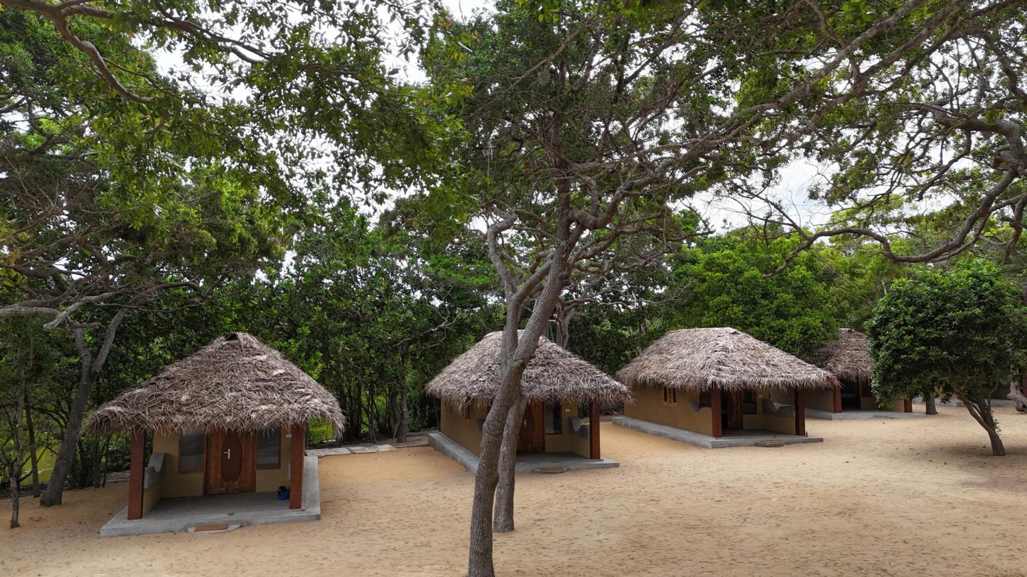 Peanut Farm Surf And Wild Resort - Arugambay Arugam Bay Zewnętrze zdjęcie