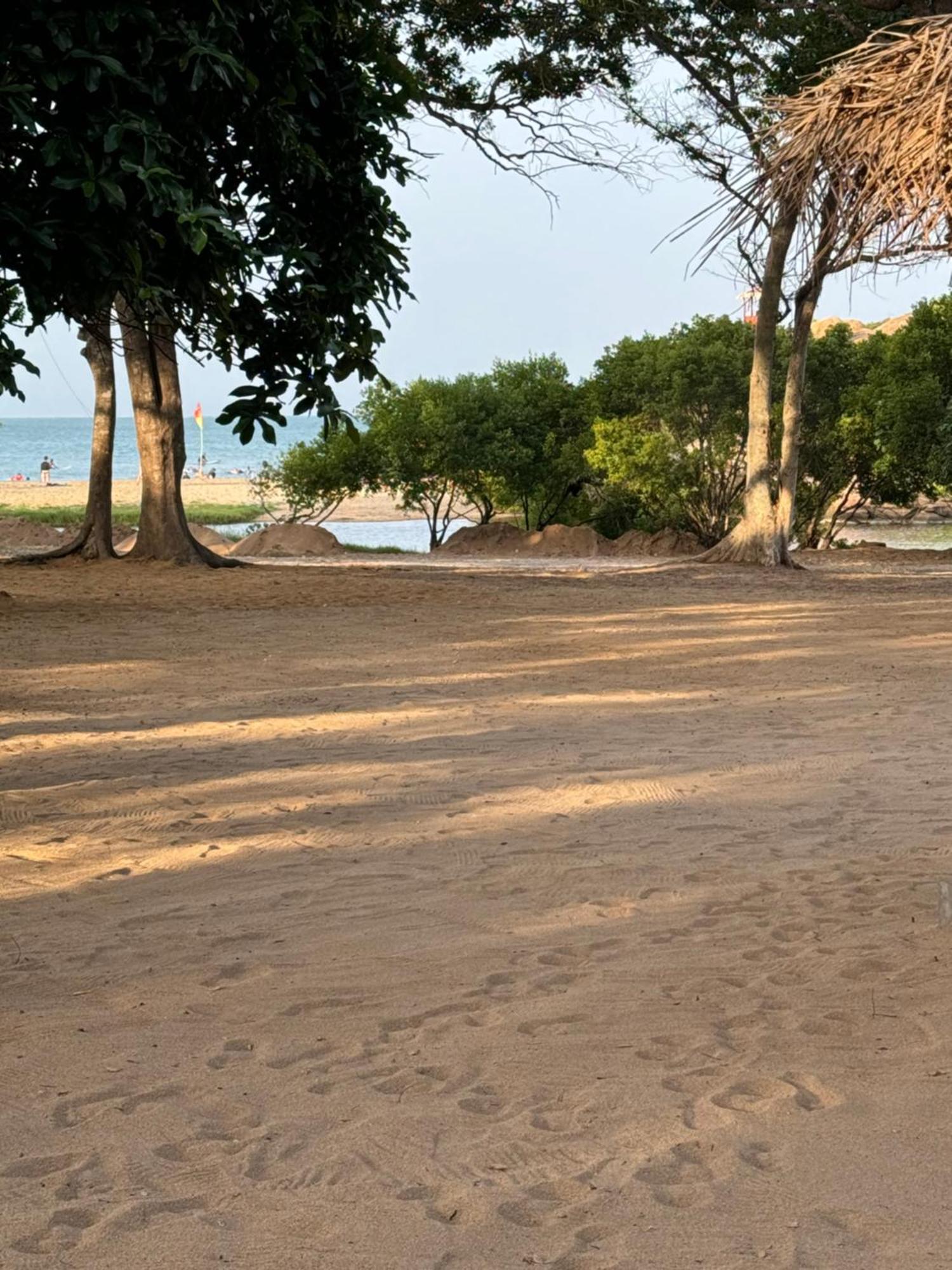 Peanut Farm Surf And Wild Resort - Arugambay Arugam Bay Zewnętrze zdjęcie