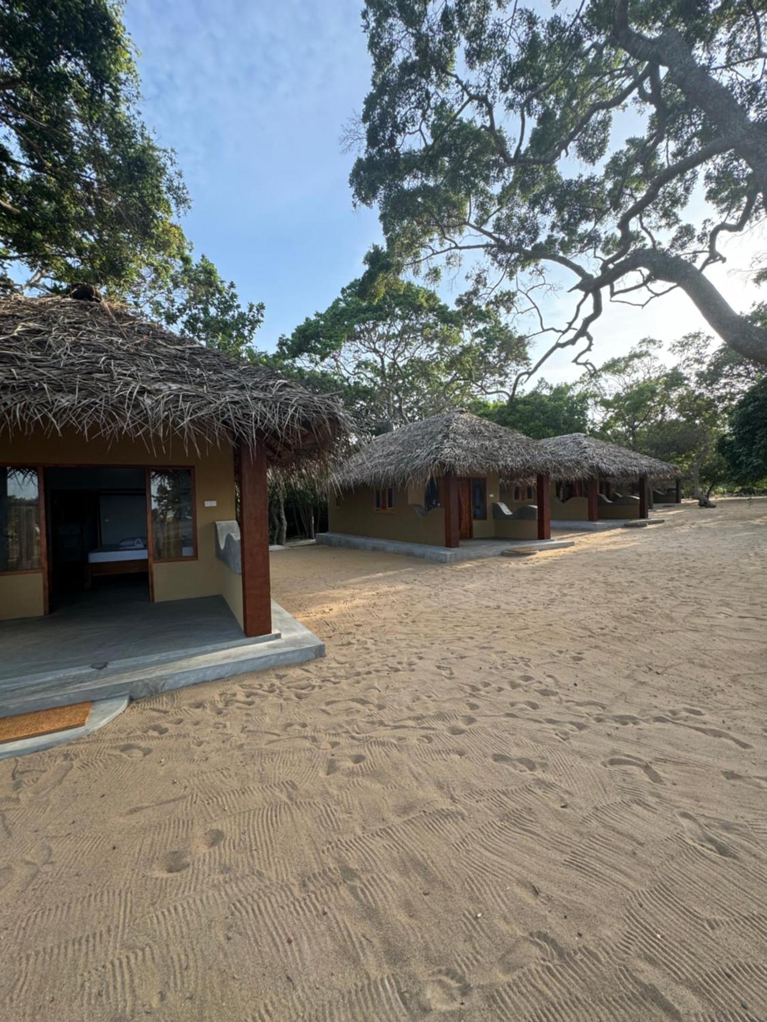 Peanut Farm Surf And Wild Resort - Arugambay Arugam Bay Zewnętrze zdjęcie