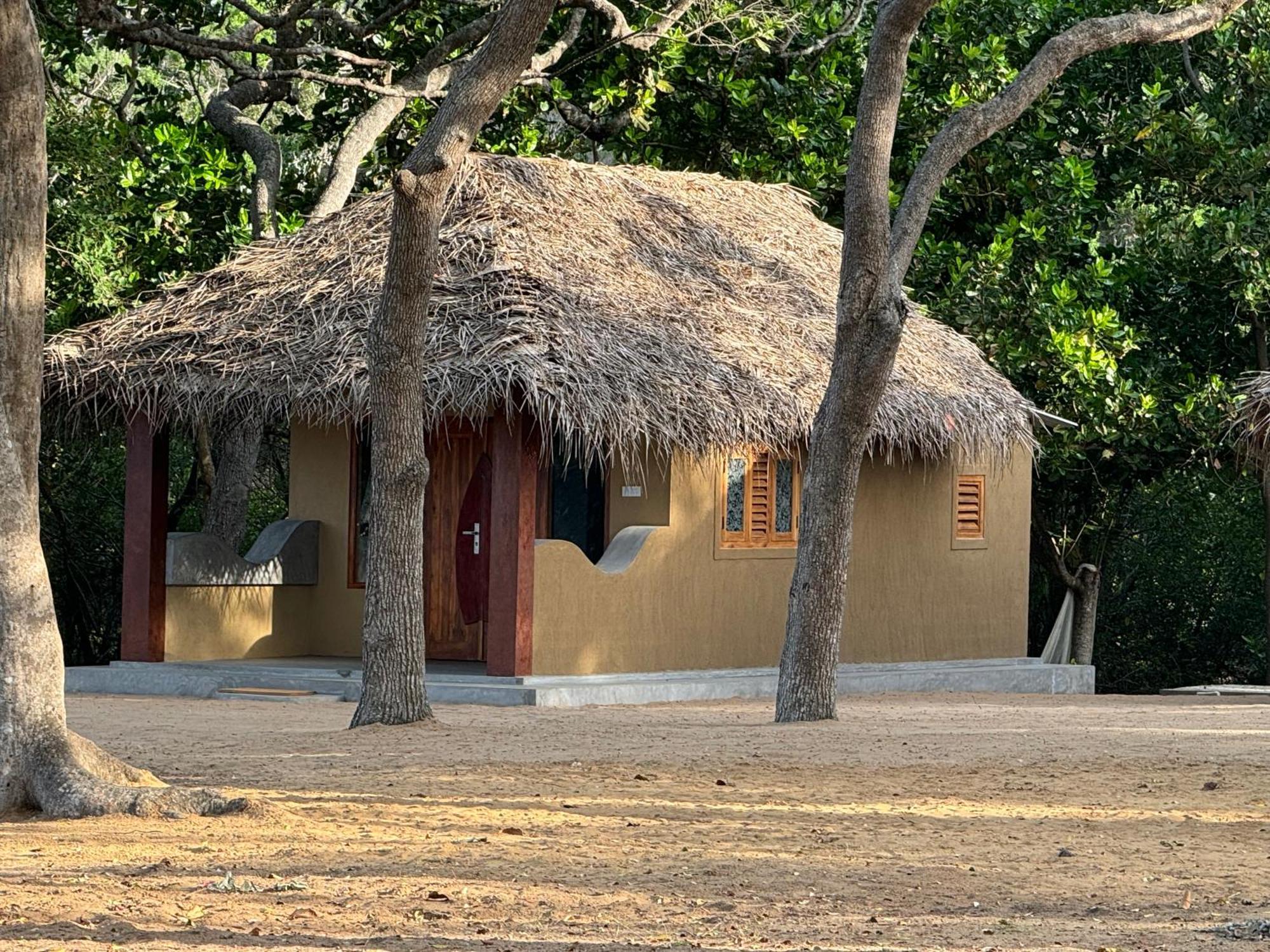 Peanut Farm Surf And Wild Resort - Arugambay Arugam Bay Zewnętrze zdjęcie