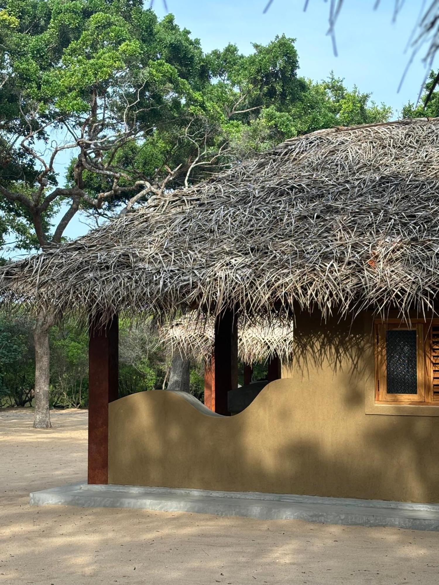 Peanut Farm Surf And Wild Resort - Arugambay Arugam Bay Zewnętrze zdjęcie