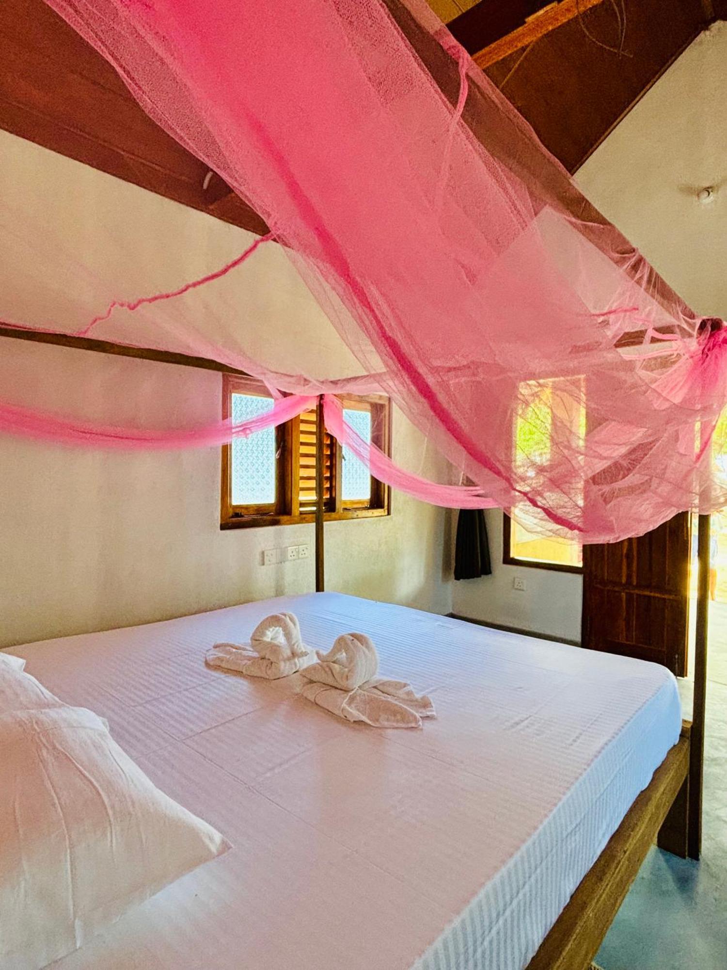 Peanut Farm Surf And Wild Resort - Arugambay Arugam Bay Zewnętrze zdjęcie