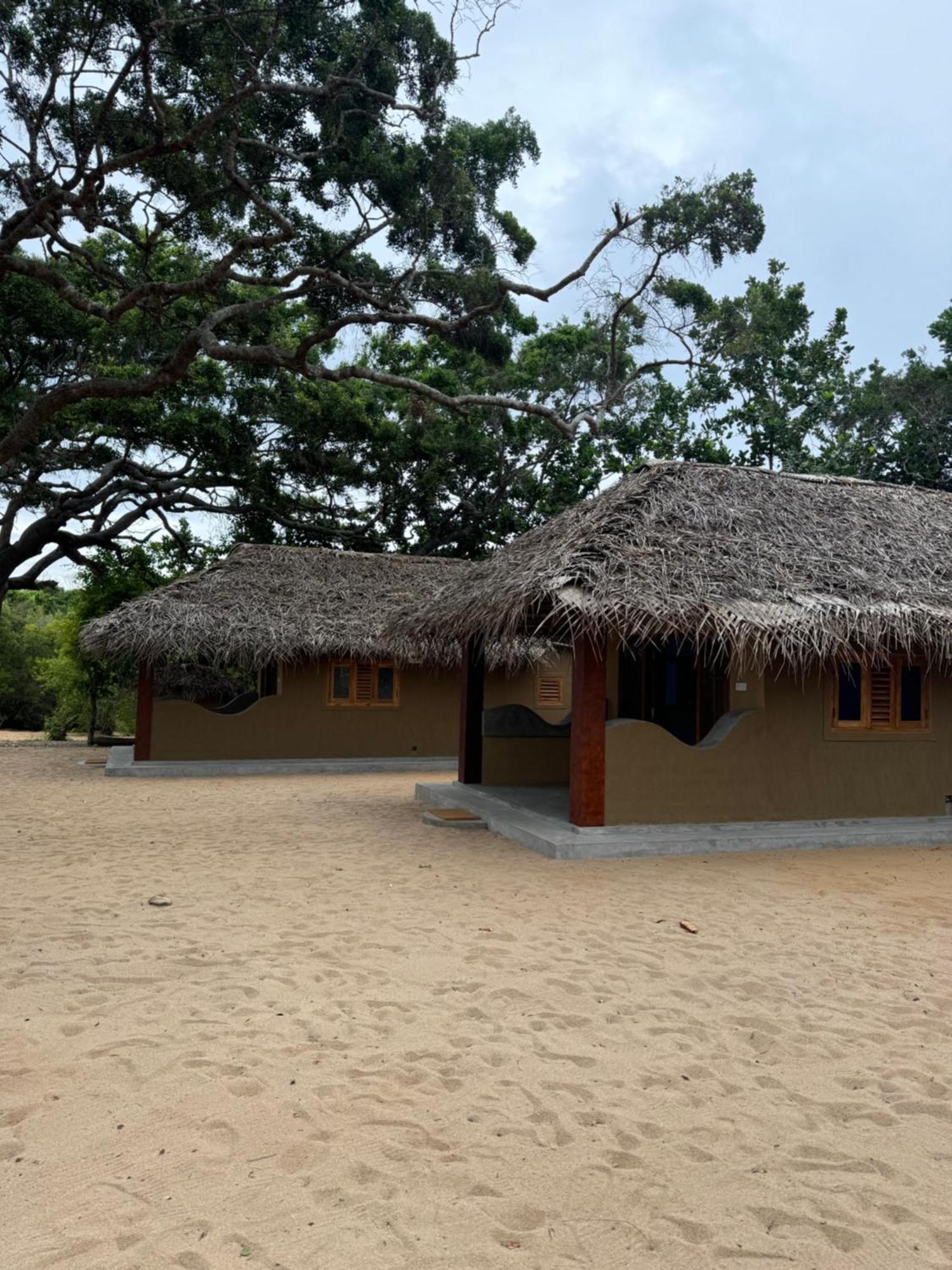 Peanut Farm Surf And Wild Resort - Arugambay Arugam Bay Zewnętrze zdjęcie